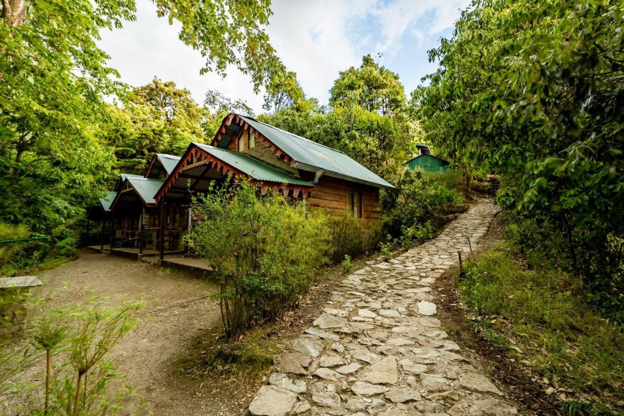 Mountain Quail Lodge Nainital Exteriér fotografie